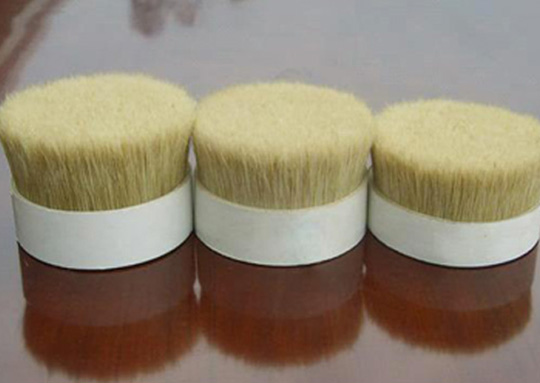 Wholesale Pig Bristle